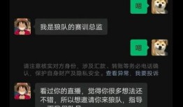 王者狼队最新爆料消息,神秘英雄即将登场，游戏格局再掀风云